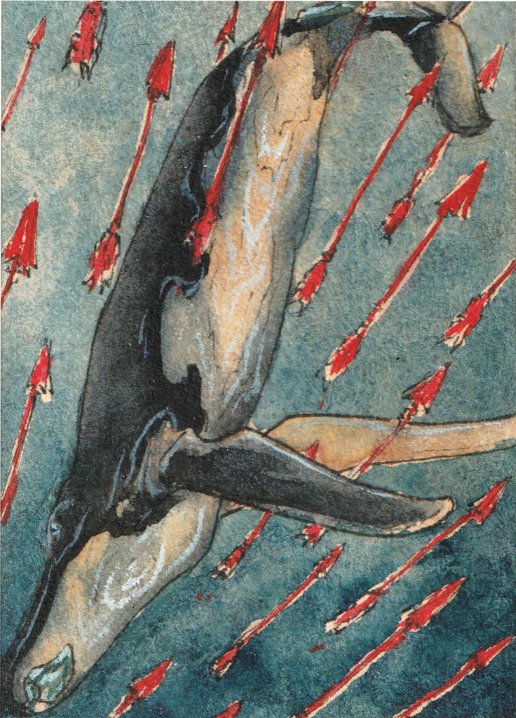 Baleine Confronte les Flèches
